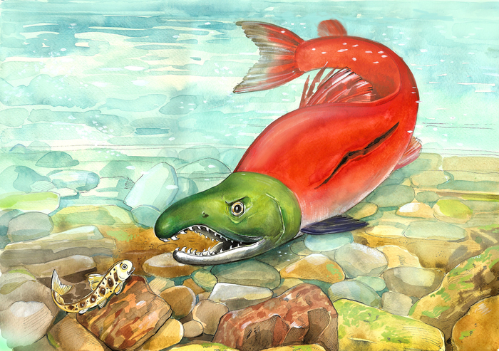 "Лососенок" Кирилл Алейников