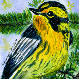 Еловый лесной певун