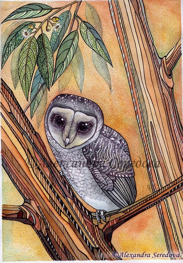 Совушки. Чёрная сипуха.