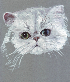 Кошачий портрет (x3)