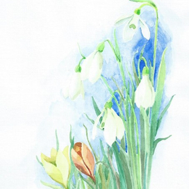 Подснежники