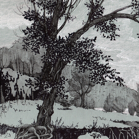 Бахилова поляна