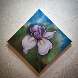 Цветок ириса