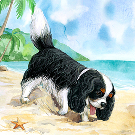 Песик на пляже