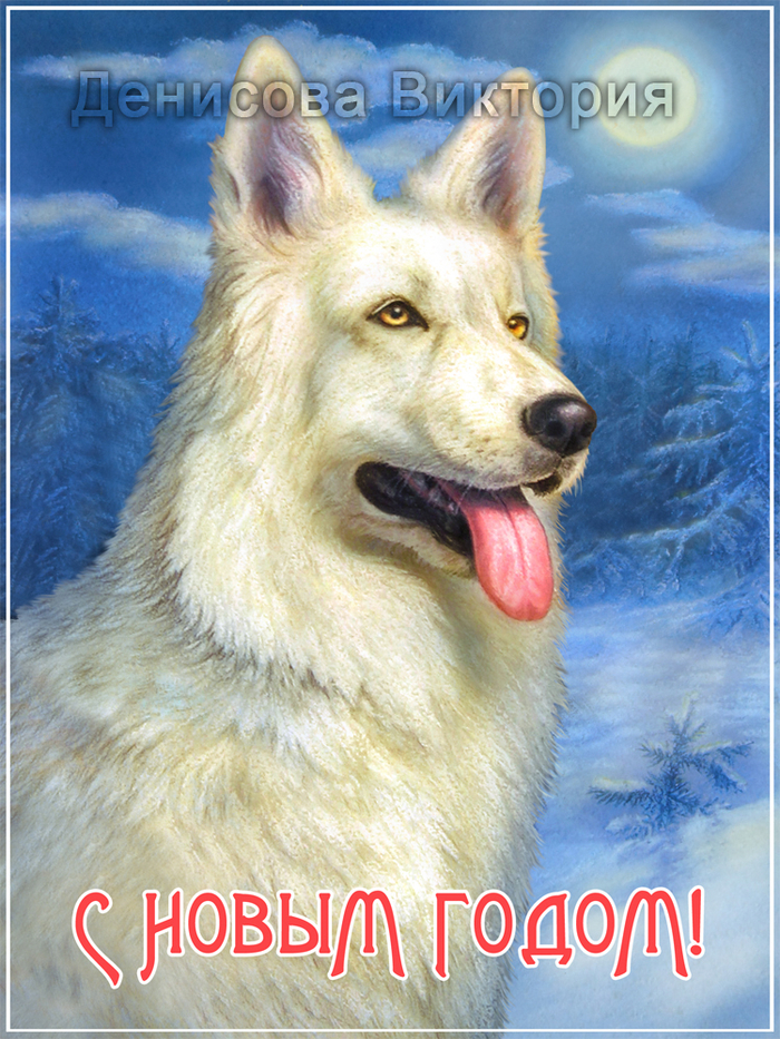 С годом желтой собаки