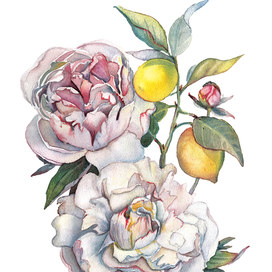 Цветы и лимоны