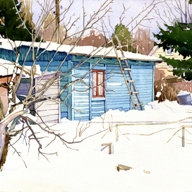 Дубки. Зима.