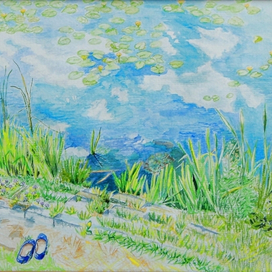 Кувшинки на озере. 