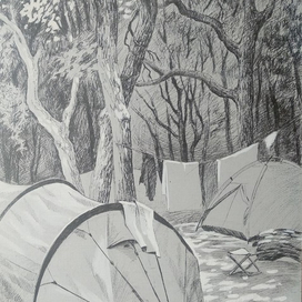 Палаточная стоянка в лесу