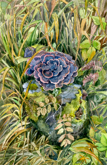 Портрет пенька