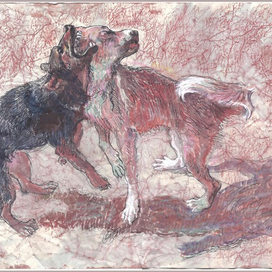 Собаки-играки