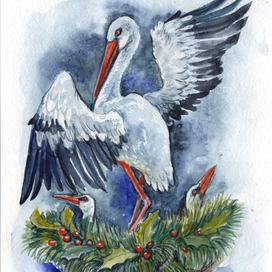 Дальневосточный аист