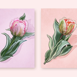 Тюльпаны. Иллюстрация. Цифровая живопись