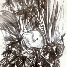 Наливное яблочко