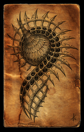 органика_001