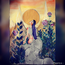 Отклик Солнца