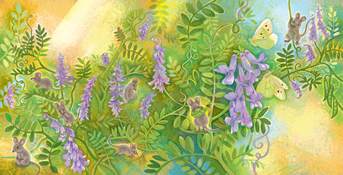 Мышиный горошек