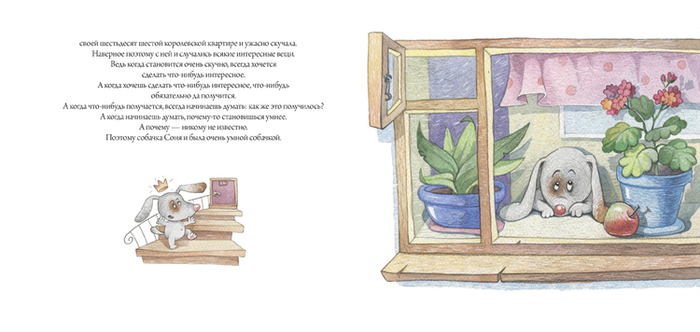 собачка Соня