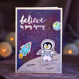 Пингвин в космосе