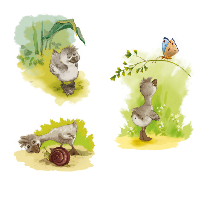 заставки "Гадкий утёнок"