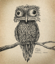 Козодой-ночная птица