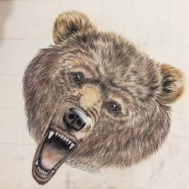 Миша Бурый в процессе 