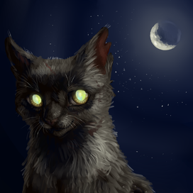 Коты-воители - Ночная звезда