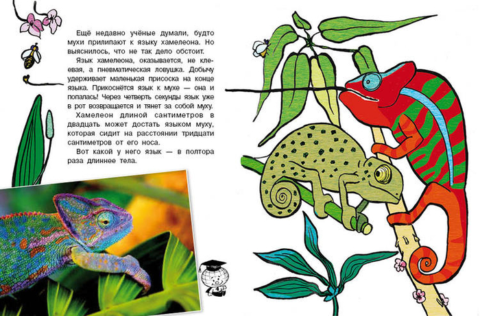 Кто без крыльев живет_08