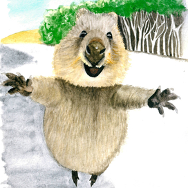 Счастлива квокка