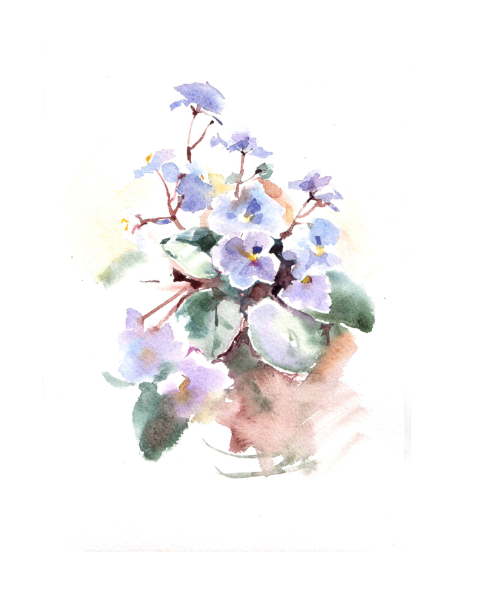 этюд фиалки