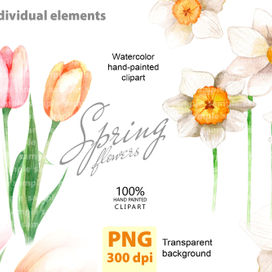 Цветы акварель