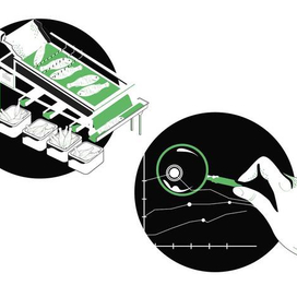 Иллюсрации для сайта "Мастер Фиш"