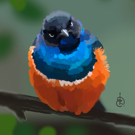 Добрая птичка