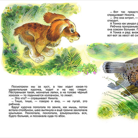 Н.Чарушин "ПРО ТОМКУ"