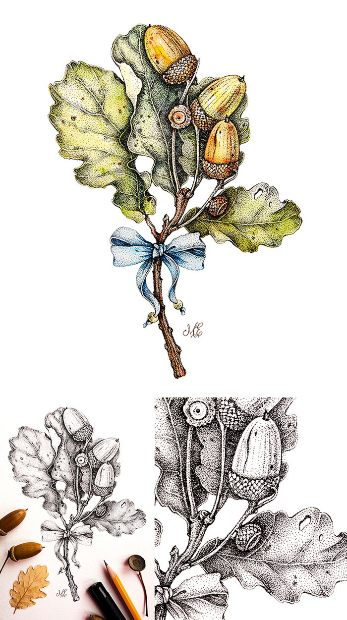 Дубовая веточка