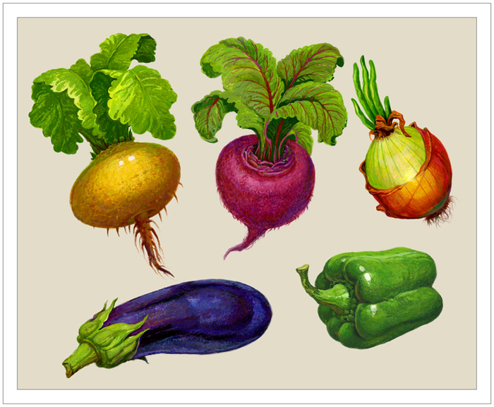 Иллюстрация к учебнику