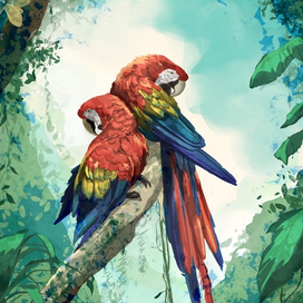 Parrots