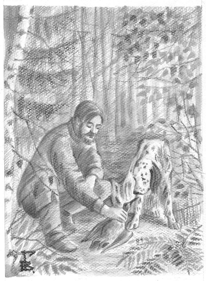 "Белый Бим Черное Ухо". Первая охота.