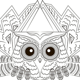 Забавная испуганная сова