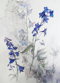 Delphinium