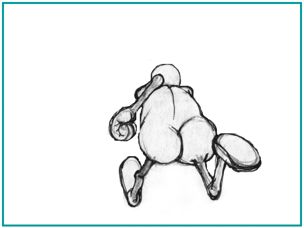 Утренняя пробежка.