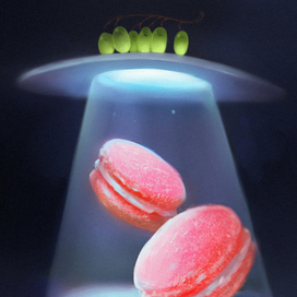 зеленые пришельцы с виноградного куста