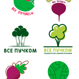 Разработка логотипа в векторе.Разные его варианты исполнения