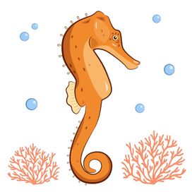 Морской конек