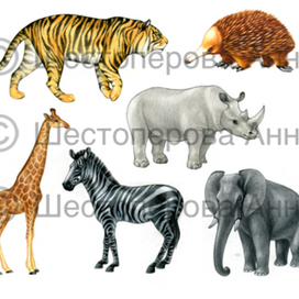 Животные для азбуки