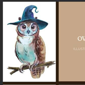 Милейшие совы.