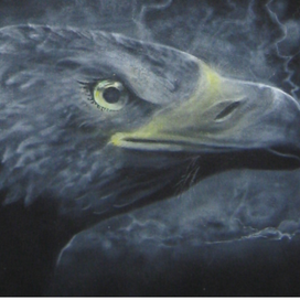 черный орел