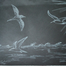 Морской пейзаж с сайками