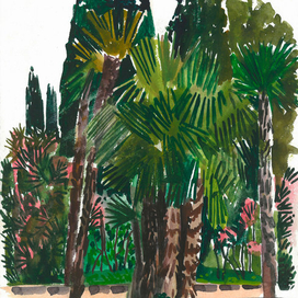 Крым, Алупка. Парк Воронцовского дворца