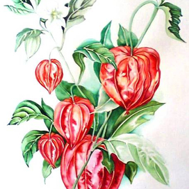 Ботаническая акварель